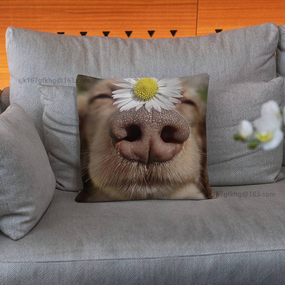 Cute Dog Pillow Case Pillow Case Living Room Sofa Cushion Cover Suitable For Home Bedroom Room Decoration