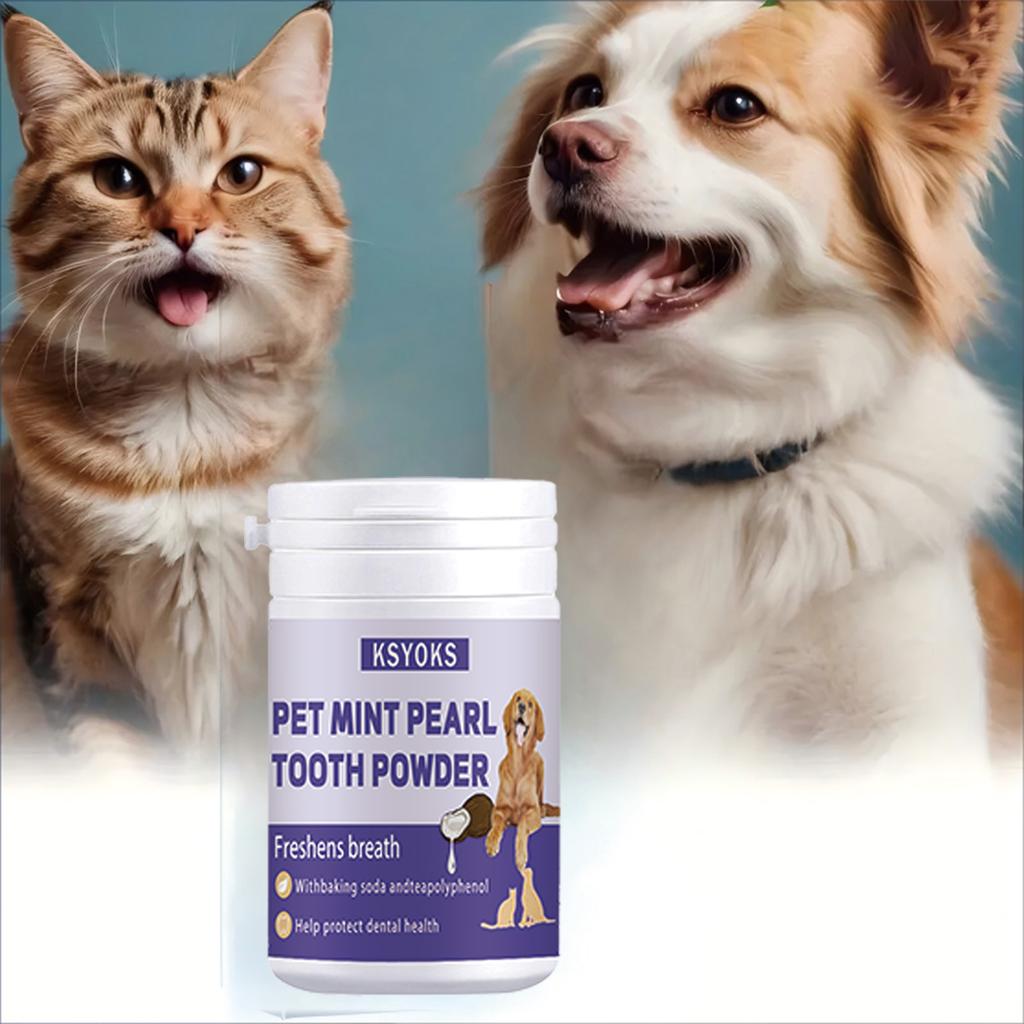 Deep Cleaning of Teeth Before Bedtime Saves Time and Effort In Caring for Furry Children