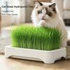 Chats – Gamelles et distributeurs de nourriture pour chats
