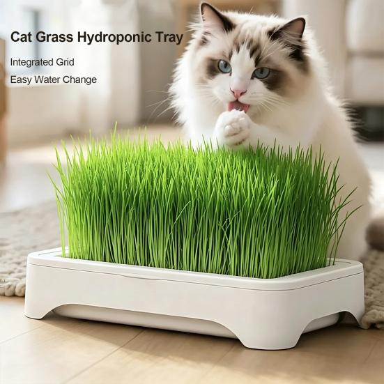 Hydroponic Cat Grass Kit with 5 Pack Seeds Soil Free Cat Grass Planter for Indoor Cats Wheatgrass Growing Kit Gift for Cat Lovers