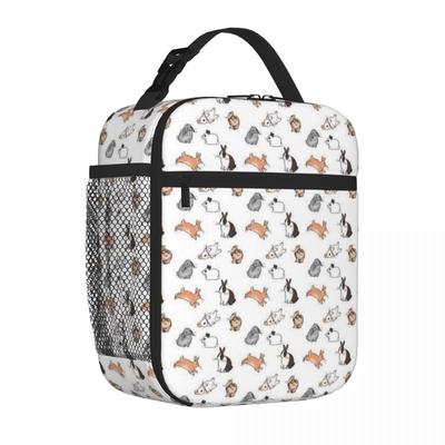 Bestselling Bunnies Toddler Style Small Lunch Bag School Field Trip Lunch Carrier