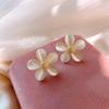 Silver Needle Korea Dongdaemun Temperament New Earrings Geometric Opal Earrings Fashion Versatile New Personalized Earrings