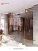 Modern Glass Screen: Laminated Glass with Wire Mesh and Illuminated Stainless Steel for Entrance or Hallway