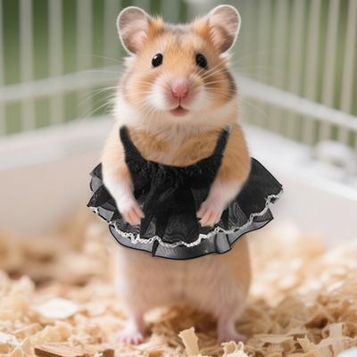 Malé pletené mini šaty pro fretky, ručně vyráběné oblečení pro křečky, princeznovskou sukničku pro králíky, morče, veverky, činčily