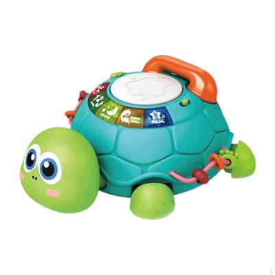 Musikalische Krabbelschildkröte Spielzeug, mit Licht Ton Sensorisches Spielzeug Frühes Lernen Pädagogisches Spielzeug für 6 7 8