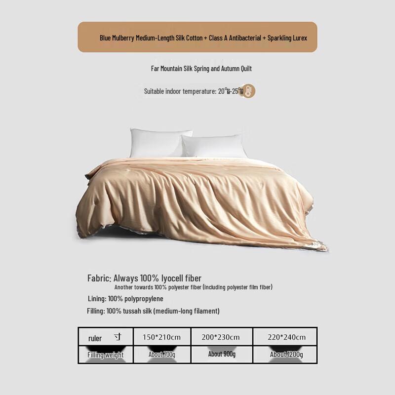 

Mercury Home Textiles Antibacterial Organic Silk Quilt