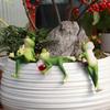 Tipsy Frog Figurine Flower Pot Hugger Decoration Funny Resin Frog Hanging Ornament for Indoor Planter & Aquariums Garden Decors