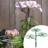 Ladder Rack Plant Support Stand Bonsai Climbing Multi Layer Adjustable Height Cage Frame for