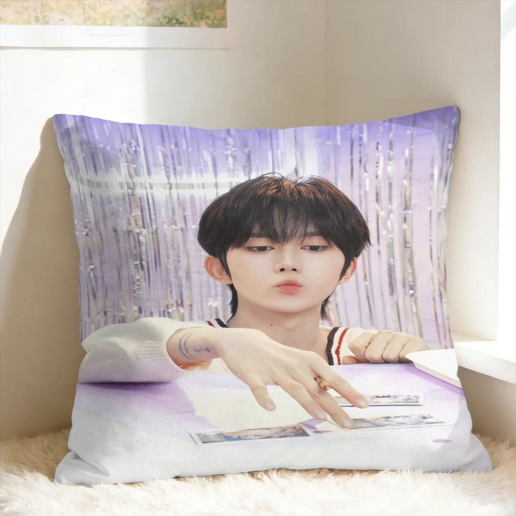 Huang Xing Eliot Huang D-Desire Pillow Case Comfy Pillow Cover For Office Car Home Decor Cute Funny Cushion Cover