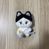 [USED] ENHYPEN Jungwon Plush Curryyan