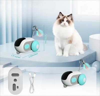 Kedi – Kedi Oyuncakları