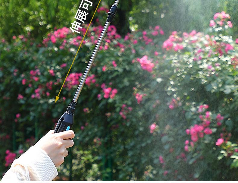 Electric Backpack Disinfection Sprayer - 5L Handheld Spray Bottle for Gardening and Watering