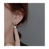 925 Sterling Silver Zircon Earrings for Women, Fashionable and Exquisite Trendy Earrings, Earrings, Light Luxury Korean Style Earrings