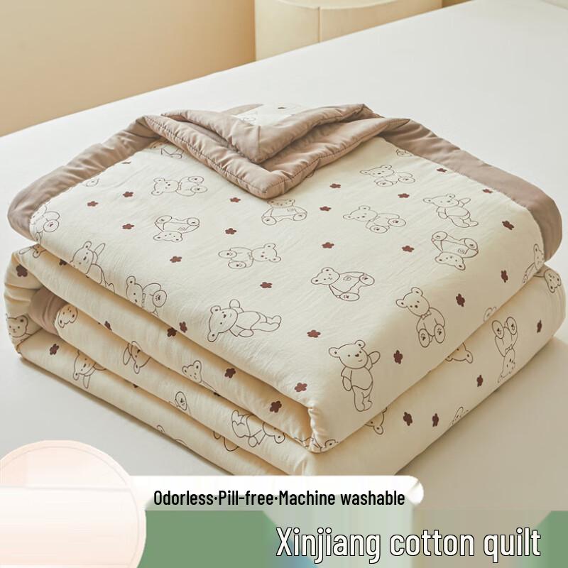 

LISM Washable Summer Air Conditioning Quilt