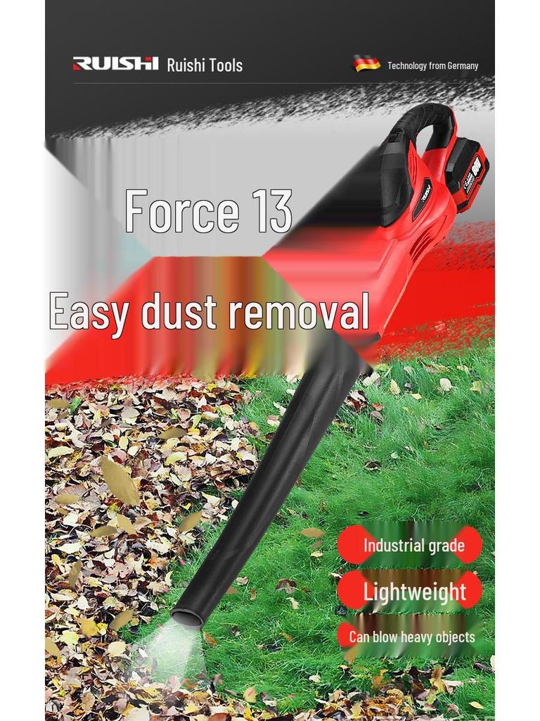Ruishi High-Power Rechargeable Hair Dryer & Dust Blower/Vacuum for Home & Industrial Use