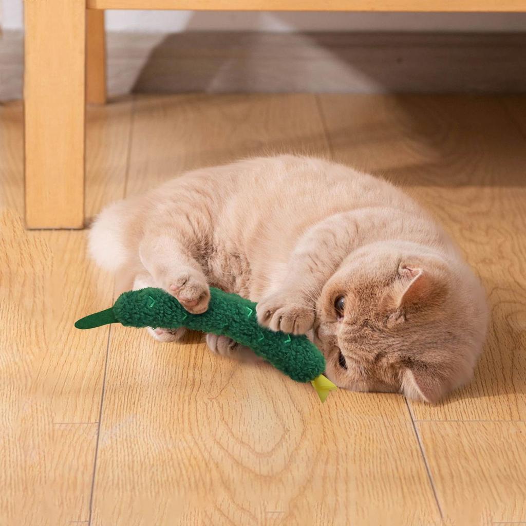 Karotte Gurke Katze Rassel Papier Spielzeug Simulation Gemüse Selbstunterhaltendes Haustierspielzeug
