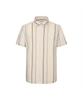 Dagseusyeocheu No-Care Seersucker Stripe Shirt_Dms1Shcs138I1
