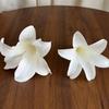 5pcs DIY Craft Artificial EVA Flower Elegant Realistic Hanging Flower Head Handmade Lifelike Wedding Flower Wall