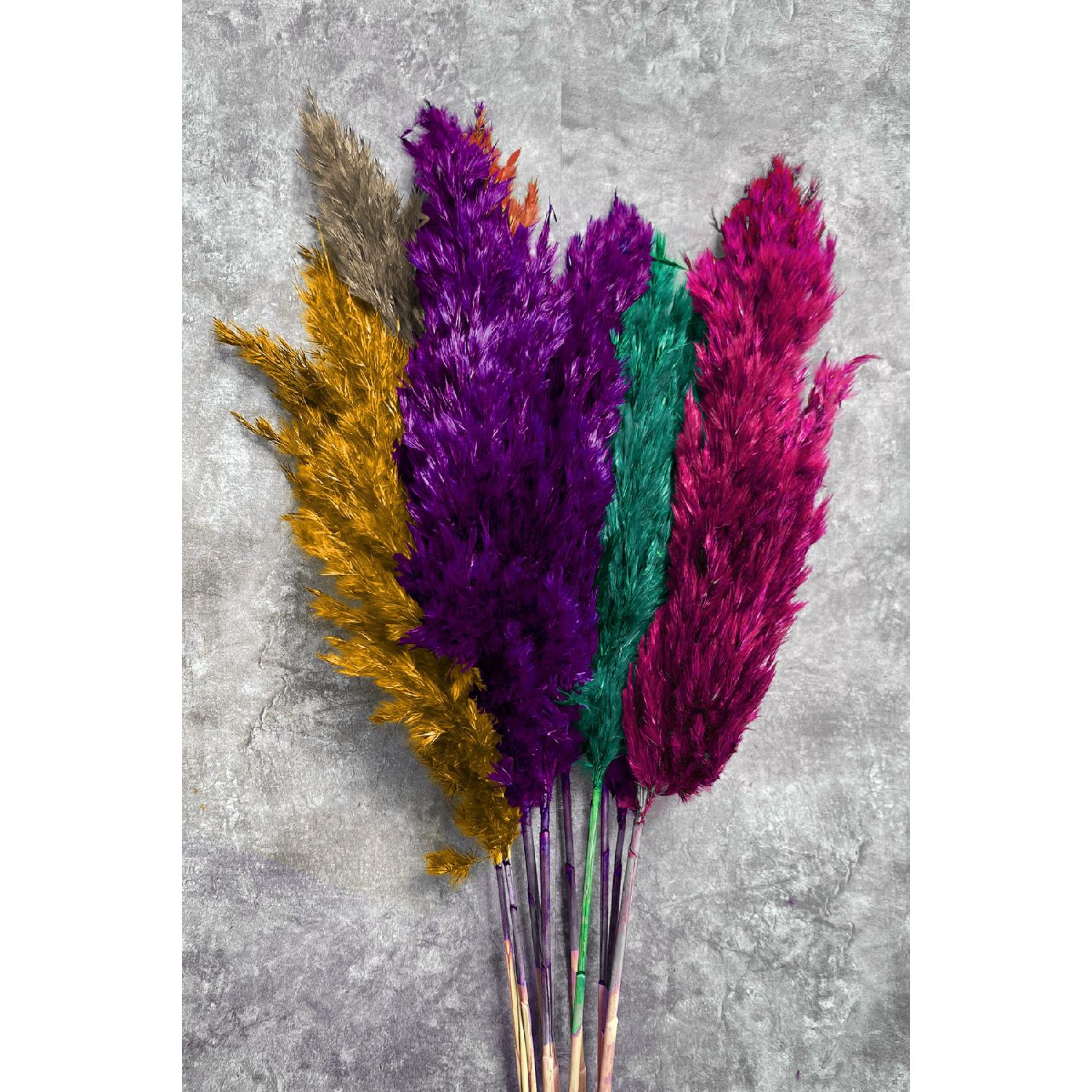 

Шокированная весенняя модель, цветные пампасы, связка из 10 штук