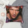 Hudson Williams Connor Storrie Heated Rivalry Printed Pillowcases Cushion Cover  Pillow Covers Square Multi Size