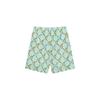 GUCCI Casual Shorts Men's Teal Moderate 734161-ZAMD4-4563