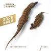 PNSO Dinosaur Museum 135 Scale Tyrannosaurus Rex Realistic Figure PVC Plastic Model Toy Dinosaur Lover Birthday Gift Original Science Art Painted