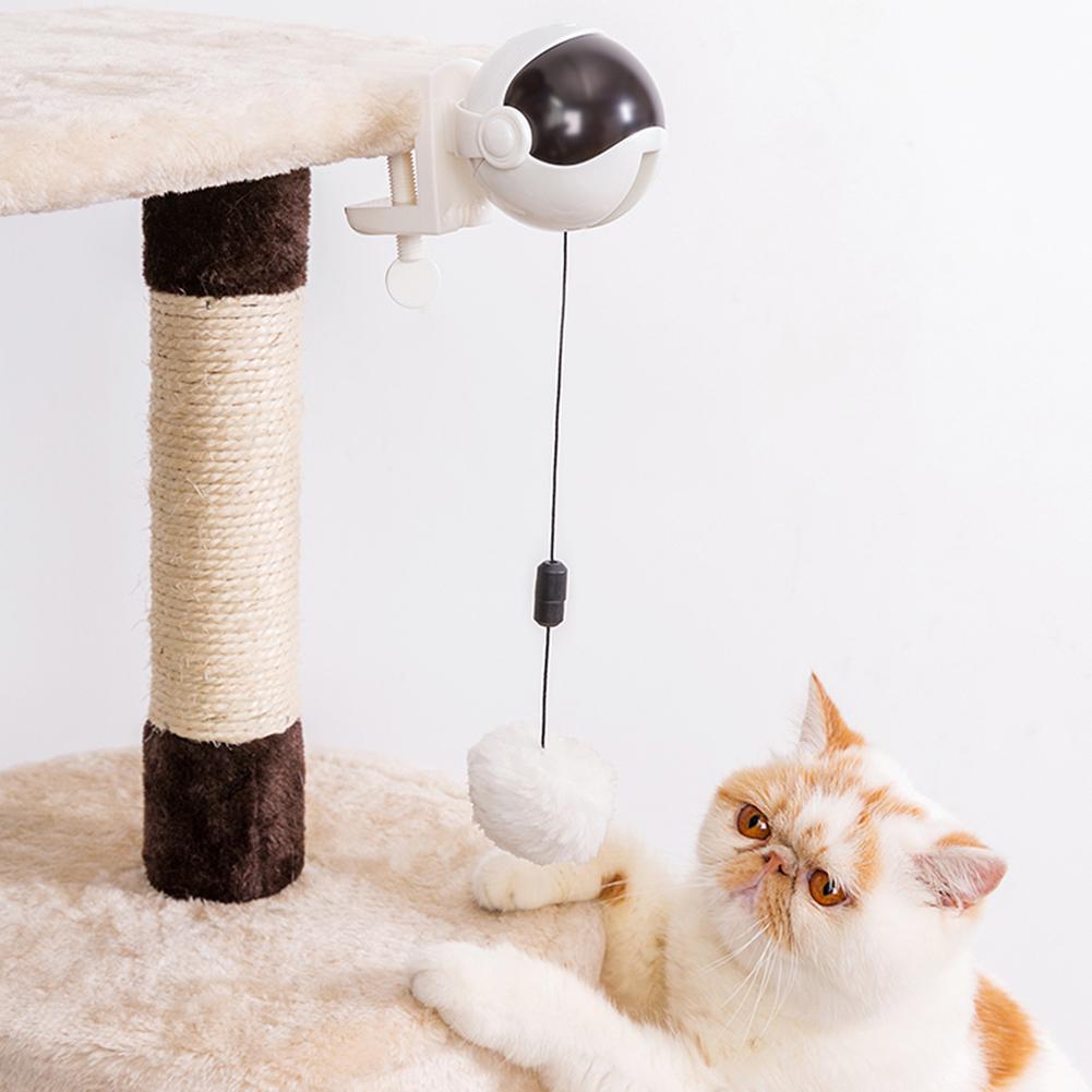 automatic cat ball