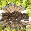 Grow Sponges Cone-Shaped Gardening Supplies 50-Piece Rapid Rooter Plugs for Indoor for Propagation Cultivation Indoor Outdoor