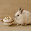 Moisture-Proof Pet Urn Removable Lid Pet Ash Holder Pet Hair Collection Box  for Cats Dogs Hamster