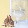 Rolling Bead Hamsters Water Dispenser No Drip Hamster Cage Kettle  Ferrets