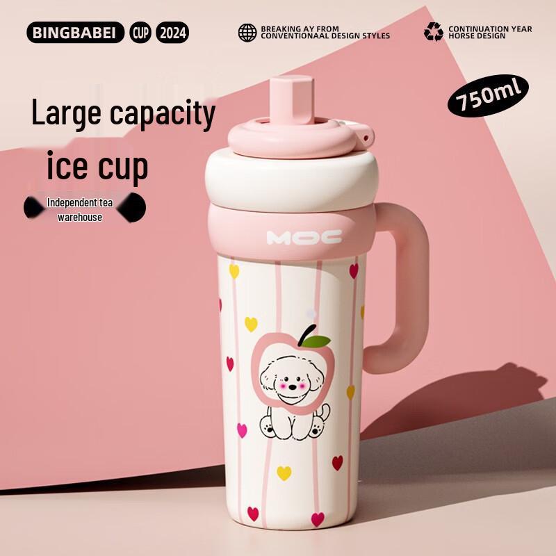 Changbaosen 750ml 316 Stainless Steel Insulated Tumbler with Tea Infuser