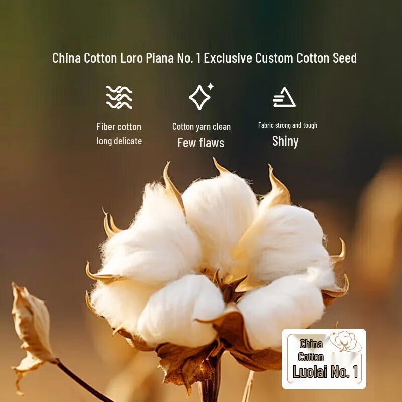 LUOLAI 100% Mulberry Silk Quilt with 60-Count Cotton Shell