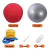 Haustierball-Abdeckung - Bestseller 55cm Anti-Burst-Design mit strapazierfähigem doppelt genähtem Oxford-Gewebe