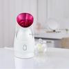 high quality Ionic Warm Mist Facial Steamer Personal Sauna SPA Quality Salon Skin Care face Moisturizing Sprayer
