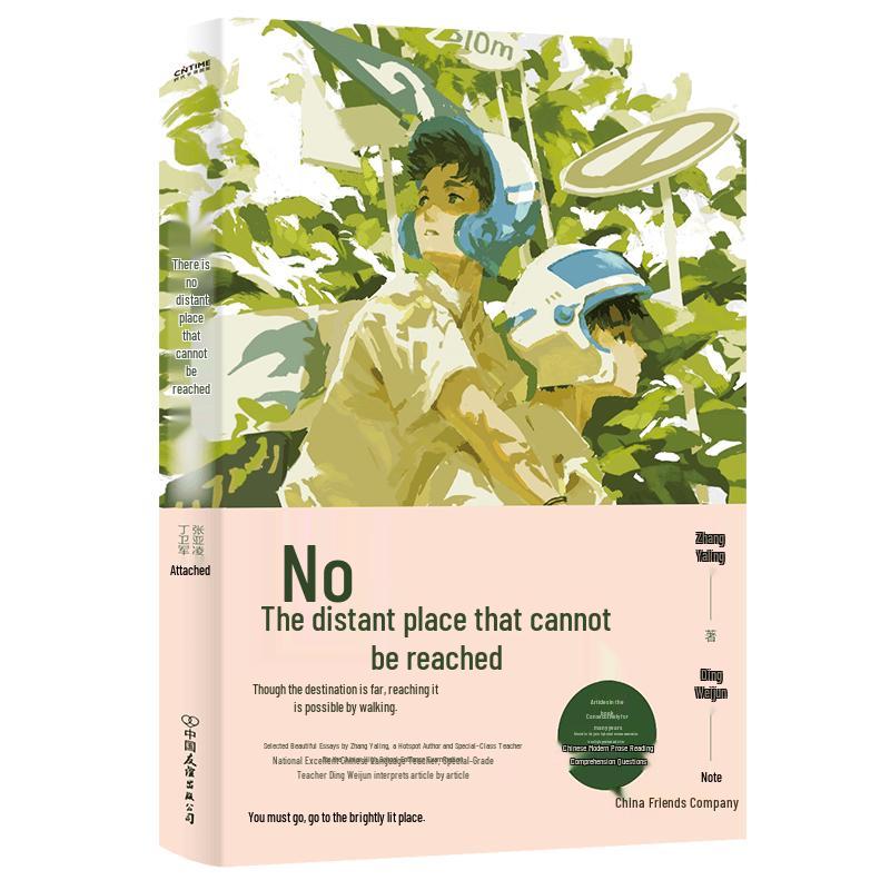 Zhongkao Chinese Essay & Reading Guides