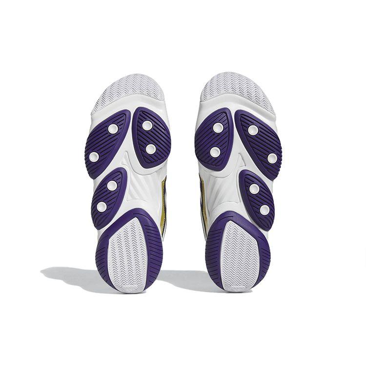 Adidas Top Deset 2010 Lakers Pánské Tenisky Bílá Cloud-White Tým-College-Fialová HQ4624