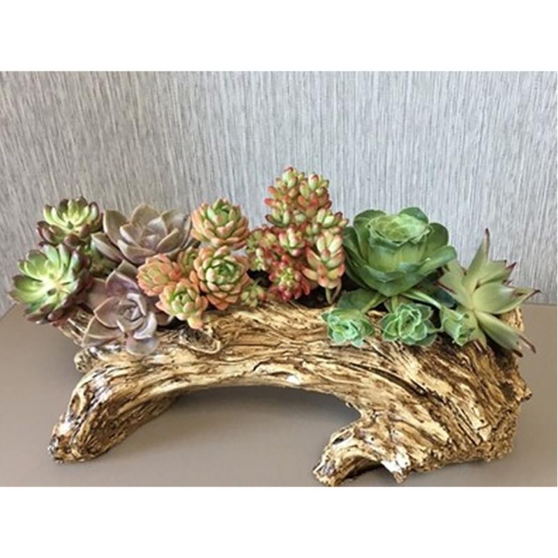 Jardinière vintage en ciment, motifs de racines d'arbres en résine pour plantes succulentes et bonsaïs, décoration de bureau, intérieur ou extérieur