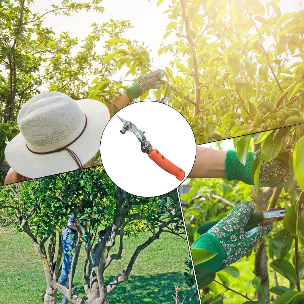 Fruit Tree Ring Cutter Tree Ring Peeler Adjustable Tree Pruning Shears Bark Girdling Cutter Peeling Shear Trimming Tool