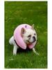 Elizabethan Inflatable Pet Collar: Anti-Bite, Anti-Lick Grooming Protection for Dogs & Cats