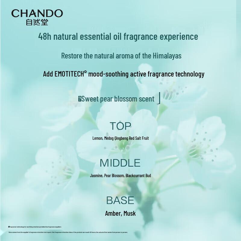 CHANDO Anti-Dandruff & Itch-Relief Shampoo, 600g