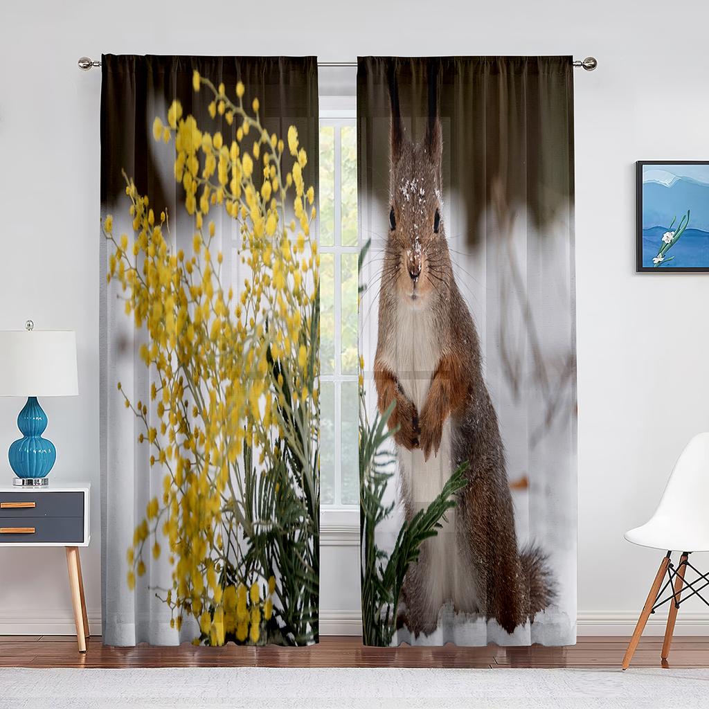 Squirrel Standing on Tree Branch Animal Sheer Voile Curtains for Living Room Modern Curtains for Kitchen Chiffon Tulle Curtain