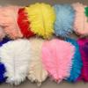 Ostrich Hair 25-30 Natural Ostrich Feather Lampshade Jewelry Decoration Wedding Diy Clothing Accessories Flower Arrangement Crafts