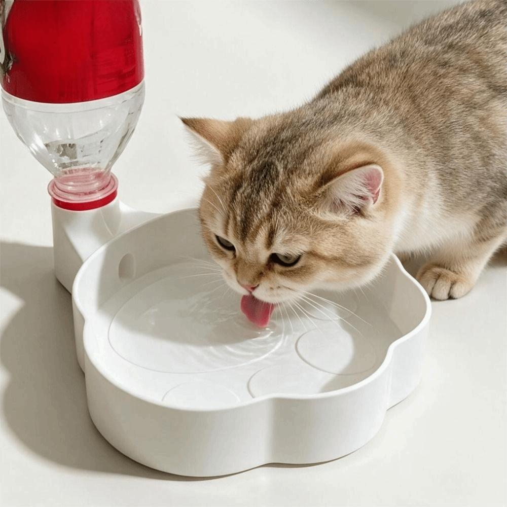 Cute Paw Shape Cat Automatic Drinking Bowl Leak Proof Plastic Cat Water Feeder 3D Printed Pet Bottle Water Dispenser Outdoor