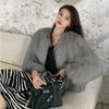 Imitation Raccoon Hair Woven Imitation Fur Jacket Women's Short New Imitation Fox Hair Coat Light Fashion