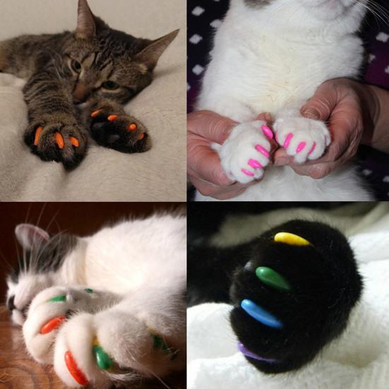 120 Stuks Katten Nageldopjes Natuurlijk Veilig Kattenklauw Hoesjes Tips met Lijm En Applicators Niet-Toxisch 6 Kleuren Katten Nagelhoesjes