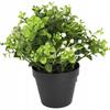 Artificial Plant In a Pot - Interior Decoration