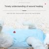 Breathable Sterilization Clothes for Female Cats Weaning Clothes Can Be Used To Prevent Licking After Cat Surgery.