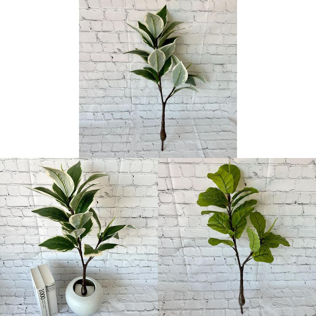 Grüne Topfpflanze Bonsai mit weißen Rändern für Heimdekoration und Foto-Requisiten