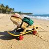 Funny Pet Skateboard Toys Set Creative Parrot Skateboard Lizard Mini Scooter  Photograph Prop