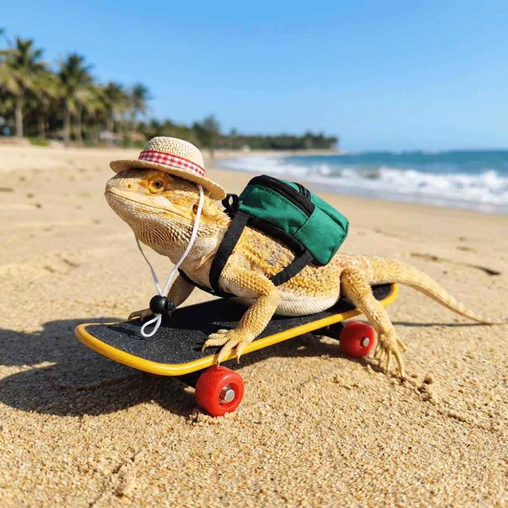 Funny Pet Skateboard Toys Set Creative Parrot Skateboard Lizard Mini Scooter  Photograph Prop
